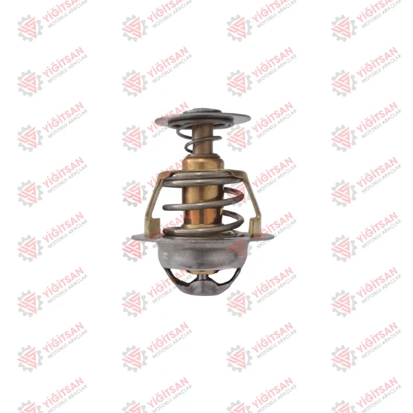 TERMOSTAT (6CT) (74C)